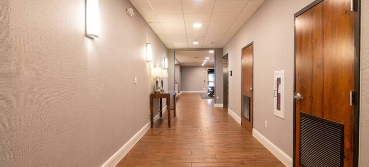 克利奇站-美国东6公路欢朋套房酒店(Hampton Inn & Suites College Station/US 6-East Bypass)图片