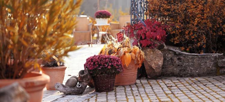 阿尔特斯库豪斯酒店(Altes Kurhaus Landhotel)图片