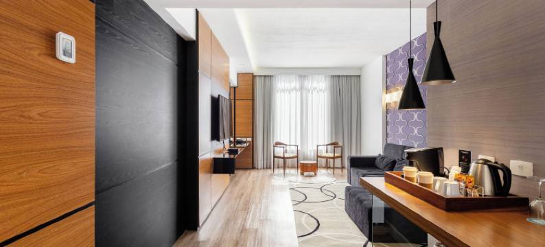 雷迪森库里提巴大酒店(Radisson Hotel Curitiba)图片