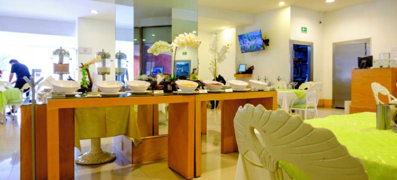 拉法叶行政酒店(Hotel Laffayette Ejecutivo)图片