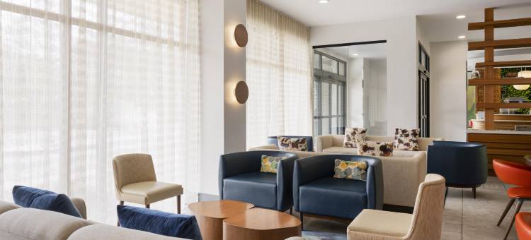 阿尔法利塔-阿瓦隆地区逸衡酒店(EVEN Hotel ALPHARETTA - AVALON AREA by IHG)图片