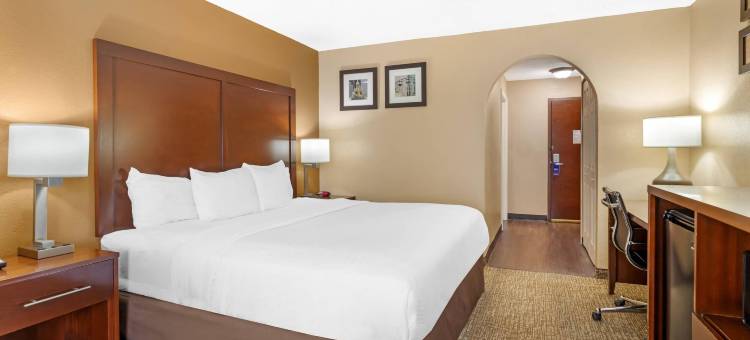 舒适酒店(Comfort Inn North Conroe)图片