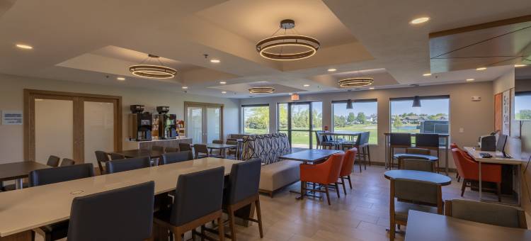 智选假日套房酒店苏中心(Holiday Inn Express & Suites SIOUX CENTER by IHG)图片