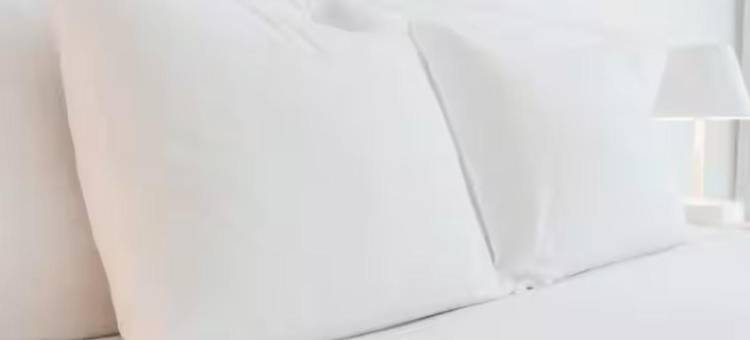 欧文拉斯科利纳斯温德姆豪桑长住酒店(Hawthorn Extended Stay by Wyndham Irving Las Colinas)图片