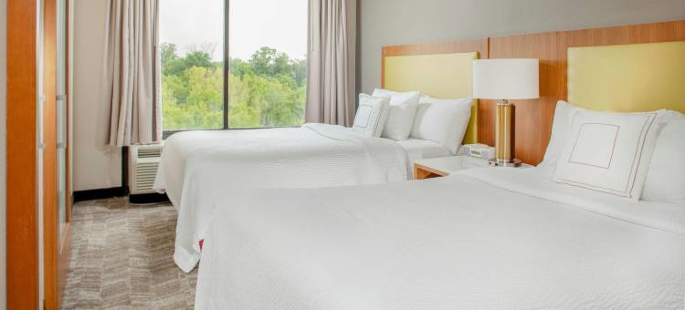 辛辛那提北部/福里斯特帕克 SpringHill Suites酒店(SpringHill Suites Cincinnati North/Forest Park)图片
