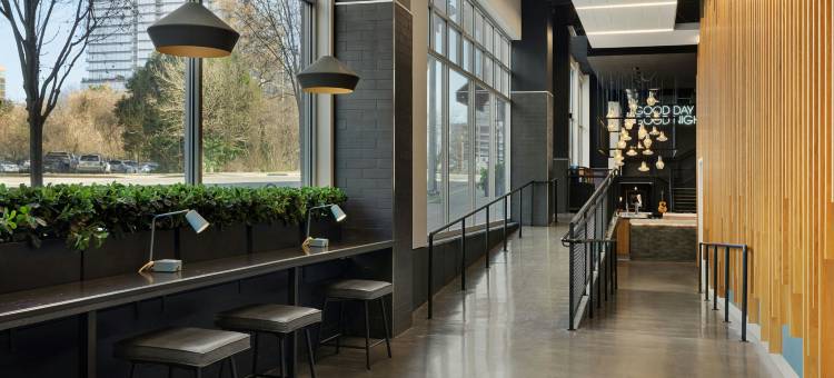 罗利卡索臻品之选酒店(The Casso, Raleigh, A Tribute Portfolio Hotel)图片