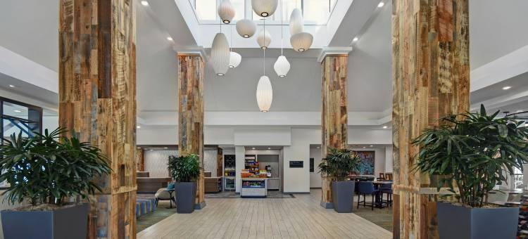 休斯顿加勒里亚区希尔顿花园酒店(Hilton Garden Inn Houston/Galleria Area)图片