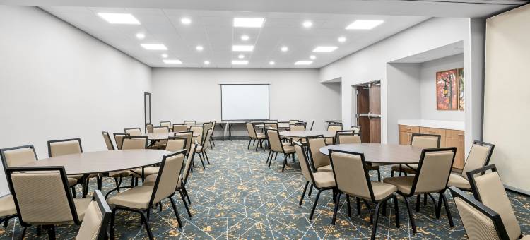 兰辛东欢朋酒店及套房(Hampton Inn & Suites East Lansing/Okemos)图片