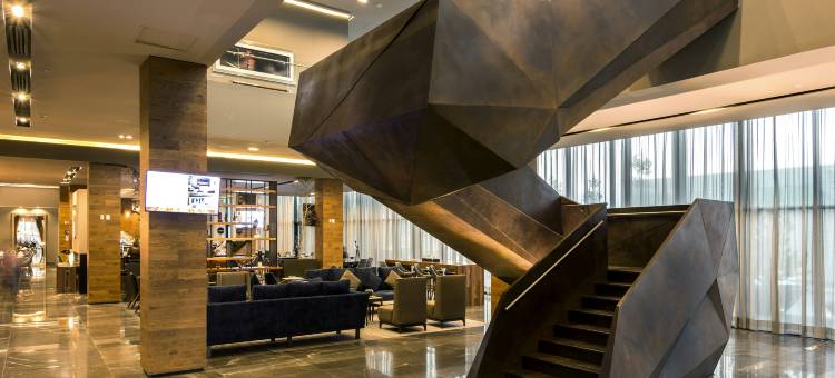 希尔顿花园酒店-阿瓜斯卡连特斯(Hilton Garden Inn Aguascalientes)图片
