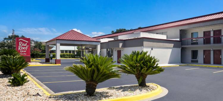 斯泰茨伯勒-大学红顶套房酒店(Red Roof Inn & Suites Statesboro - University)图片