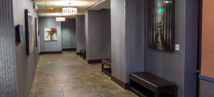 得梅因市中心-默西区假日酒店(Holiday Inn DES MOINES DTWN - MERCY AREA by IHG)图片