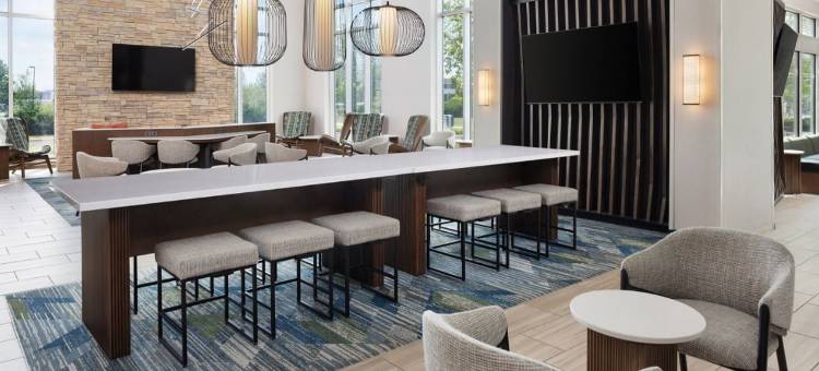 阿普尔顿万豪斯普林希尔套房酒店(SpringHill Suites by Marriott Appleton)图片