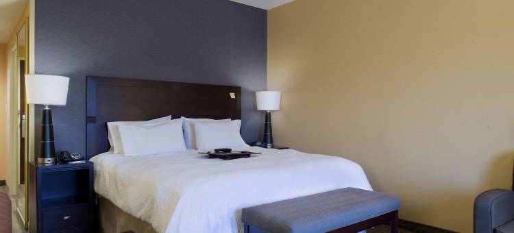 文兰德希尔顿欢朋旅馆&套房酒店(Hampton Inn & Suites Vineland)图片