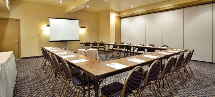 Holiday Inn Express & Suites Opelousas图片
