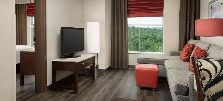 伯明翰胡佛希尔顿安泊酒店(Embassy Suites by Hilton Birmingham Hoover)图片