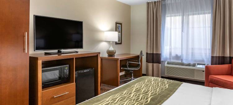 东兰辛奥克莫斯舒适酒店(Comfort Inn Okemos - East Lansing)图片