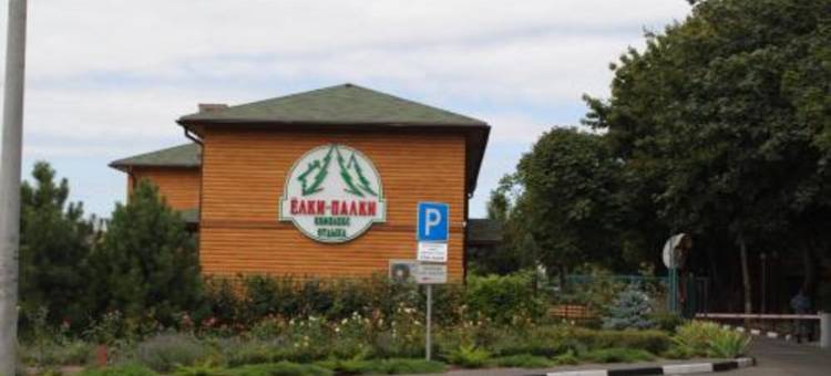 埃尔基派启奥塔卡综合酒店(Kompleks Otdykha Elki-Palki)图片