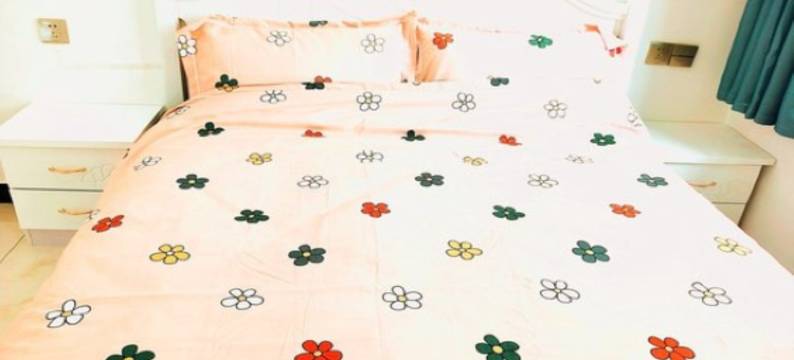 房东小饭团公寓(南关大街分店)图片