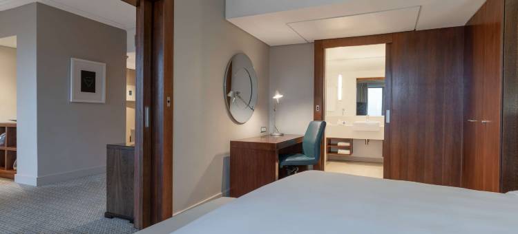 丽笙蓝标酒店-约翰内斯堡桑顿(Radisson Blu Hotel Sandton, Johannesburg)图片