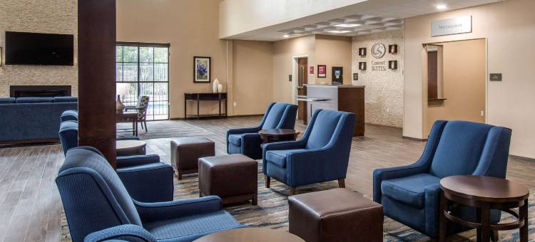 南奥斯汀舒适套房酒店(Comfort Suites - South Austin)图片