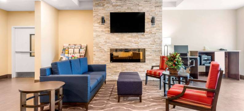 舒适套房酒店(Comfort Inn & Suites)图片