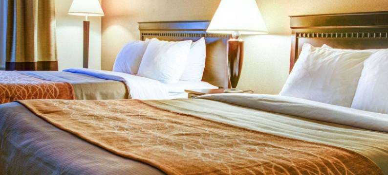 凯艺酒店(Quality Inn Florence)图片