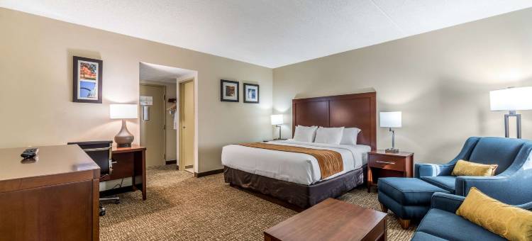 费斯特-南圣路易斯舒适酒店(Comfort Inn Festus-St Louis South)图片