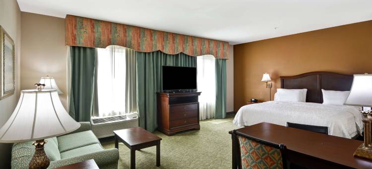 科珀斯克里斯蒂西北I-37欢朋旅馆(Hampton Inn Corpus Christi-Northwest I-37)图片