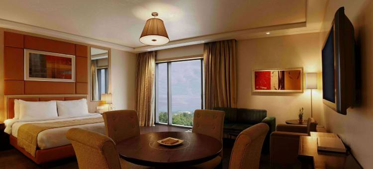 齐普尔柠檬树尊贵酒店(Lemon Tree Premier, Jaipur)图片