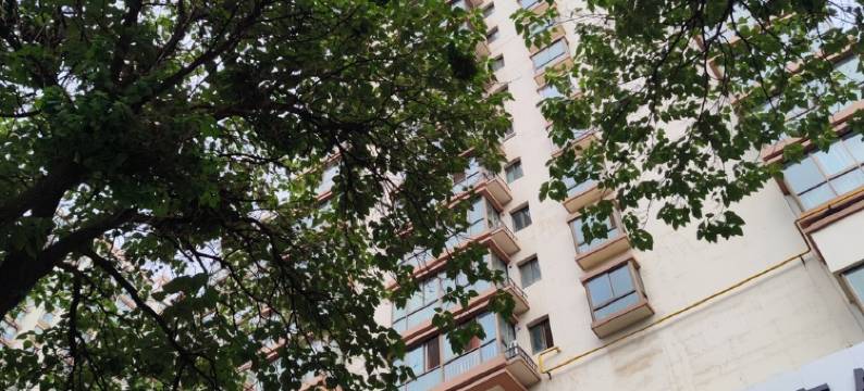 三胖家炸鸡民宿(福利东路1号分店)图片