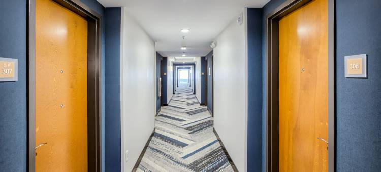 罗利达勒姆机场福朋喜来登酒店(Four Points by Sheraton Raleigh Durham Airport)图片