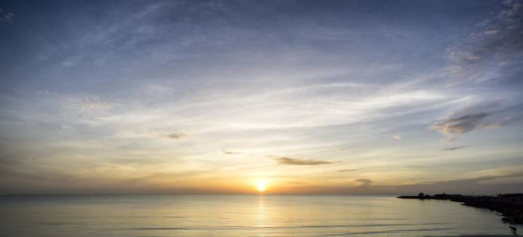 特加尔亚历山大酒店(Alexander Hotel Tegal)图片