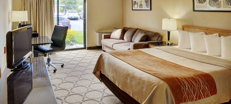 贝勒维尔舒适酒店(Comfort Inn)图片