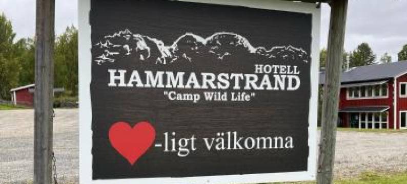 Hotell Hammarstrand图片