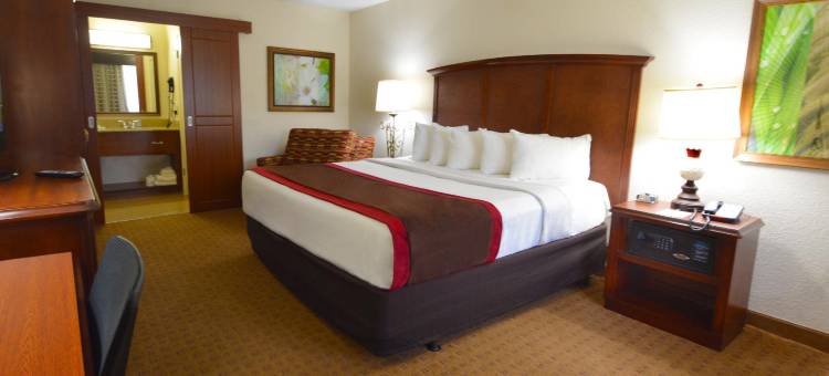 奥兰多布纳维斯塔湖罗森酒店(Rosen Inn Lake Buena Vista)图片