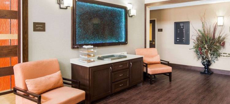 舒适套房酒店(Comfort Suites)图片