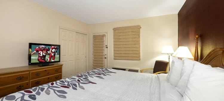 红屋顶酒店及套房-黑兹尔顿(Red Roof Inn & Suites Hazleton)图片