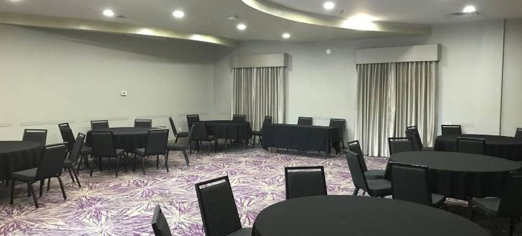 智选假日套房酒店加兰东(Holiday Inn Express & Suites Garland E - Lake Hubbard I30)图片