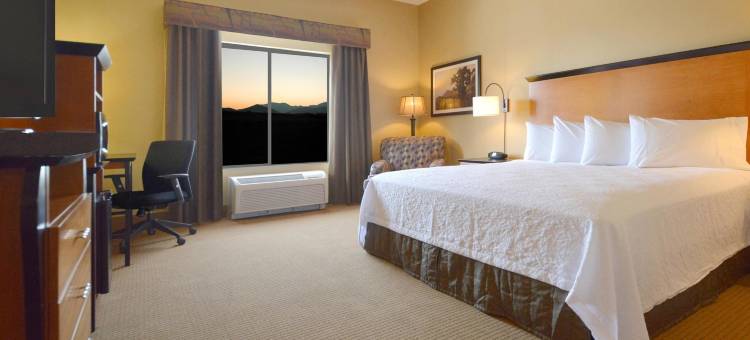卡森城欢朋套房酒店(Hampton Inn & Suites Carson City)图片