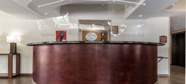 舒适套房酒店-医学中心近六旗(Comfort Suites Medical Center Near Six Flags)图片