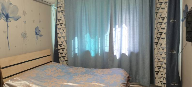 小小兰花草公寓(紫金路分店)图片