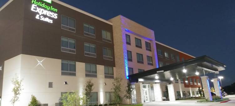 智选假日套房酒店-加兰西南/达拉斯东北地区(Holiday Inn Express & Suites Dallas Northeast - Arboretum)图片