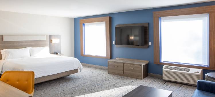 智选假日套房酒店苏城(Holiday Inn Express & Suites Sioux City - Southern Hills)图片