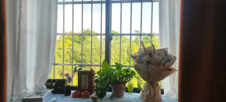 静心小苑(桂林师范大学雁山校区店)图片