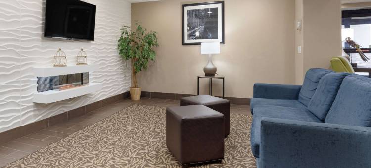 舒适酒店及套房(Comfort Inn & Suites)图片