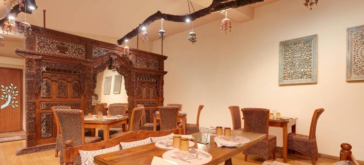 树屋度假村(The Tree House Resort, Jaipur- A Club Mahindra Associate)图片