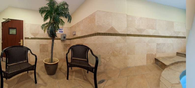 智选假日套房酒店邓肯维尔 by IHG(Holiday Inn Express & Suites DALLAS - DUNCANVILLE by IHG)图片