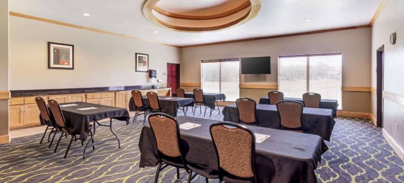 康福特套房帕勒斯廷(Comfort Suites)图片