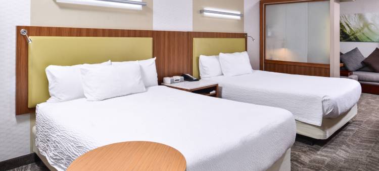 蒂梅丘拉山谷葡萄酒乡万豪SpringHill酒店(SpringHill Suites Temecula Valley Wine Country)图片