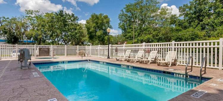 北奥卡拉舒适套房酒店(Comfort Suites Ocala North)图片